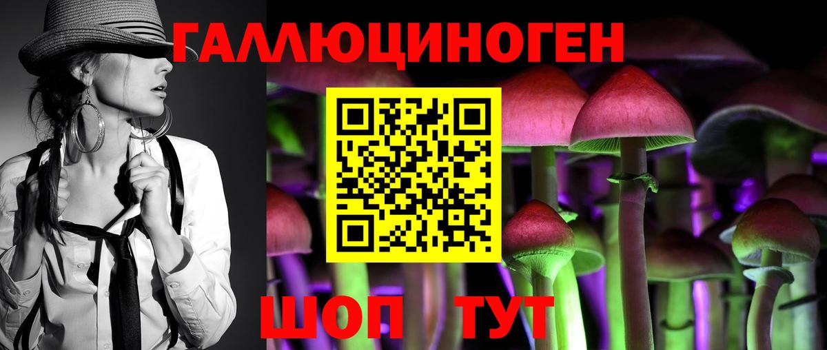 где найти   Галлюциногенные грибы GOLDEN TEACHER  Татарск  Вход с VPN  Псилоцибиновые грибы MAGIC MUSHROOMS 
